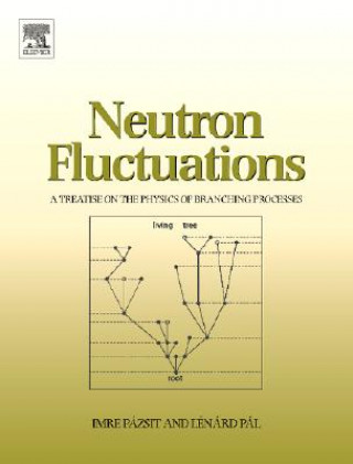 Книга Neutron Fluctuations Pazsit