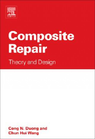 Kniha Composite Repair Duong
