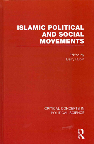 Kniha Islamic Political and Social Movements Barry Rubin