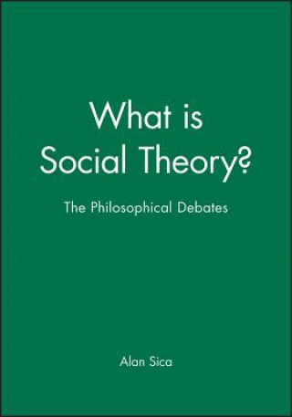 Book What is Social Theory? - The Philosophical Debates Alan Sica