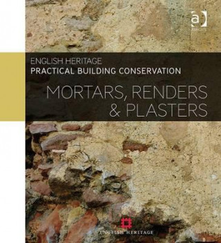 Kniha Practical Building Conservation: Mortars, Renders and Plasters English Heritage