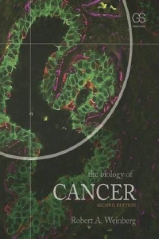 Könyv Biology of Cancer Robert A. Weinberg