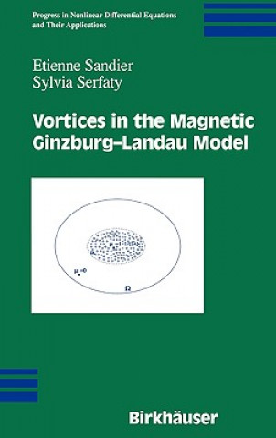 Könyv Vortices in the Magnetic Ginzburg-Landau Model Etienne Sandier