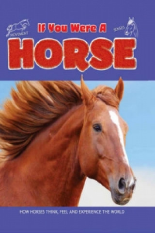 Kniha If You Were a Horse Clare Hibbert