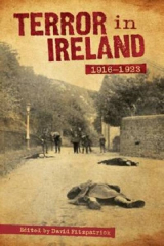 Kniha Terror in Ireland David Fitzpatrick