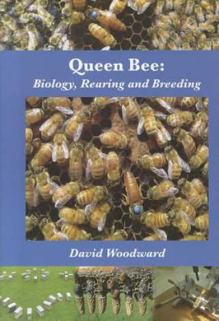 Könyv Queen Bee David Woodward