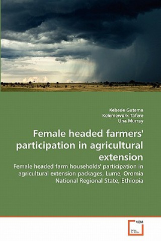 Könyv Female headed farmers' participation in agricultural extension Kebede Gutema
