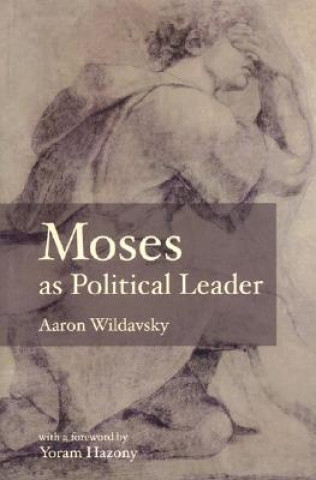 Kniha Moses as Political Leader Aaron Wildabsky