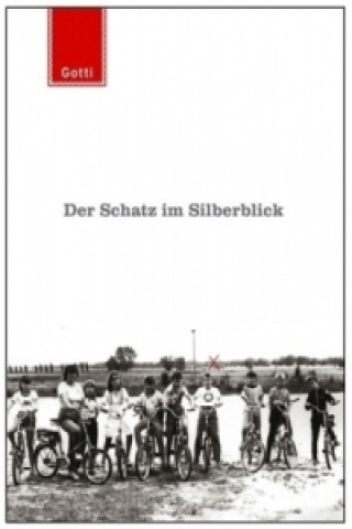 Kniha Der Schatz im Silberblick Martin Gottschild