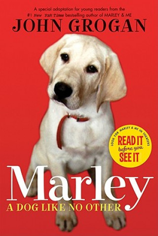 Könyv Marley, A Dog Like No Other John Grogan
