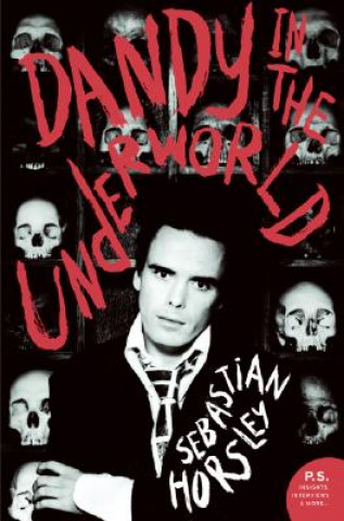 Buch Dandy in the Underworld Sebastian Horsley