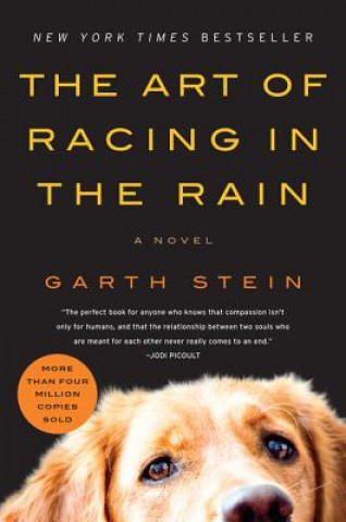 Carte Art of Racing in the Rain Garth Stein