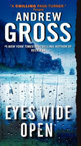 Könyv Eyes Wide Open Andrew Gross