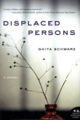 Knjiga Displaced Persons Ghita Schwarz