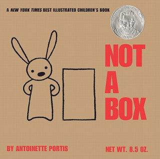 Kniha Not a Box, Board Book Antoinette Portis