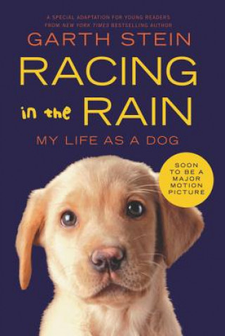 Kniha Racing in the Rain Garth Stein