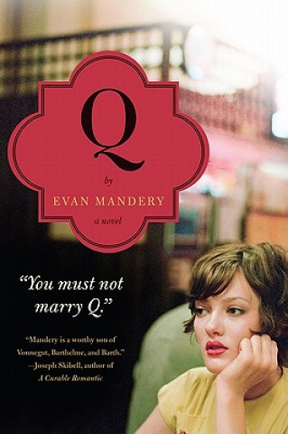 Livre Q: A (Timeless) Love Story Evan Mandery