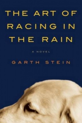 Carte The Art of Racing in the Rain Garth Stein