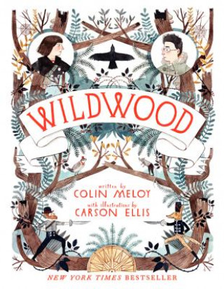 Kniha Wildwood Colin Meloy