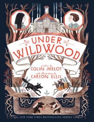Carte Under Wildwood Colin Meloy