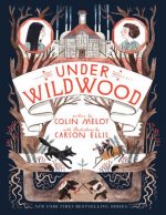 Könyv Under Wildwood Colin Meloy