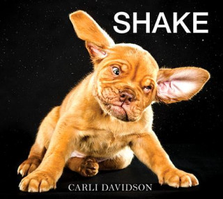 Kniha Shake Carli Davidson