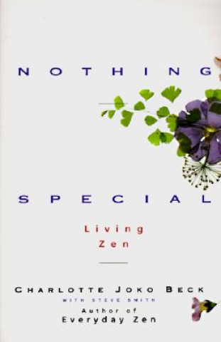Kniha Nothing Special Charlotte J. Beck