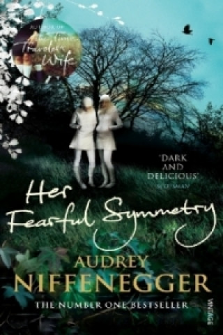 Kniha Her Fearful Symmetry Audrey Niffenegger