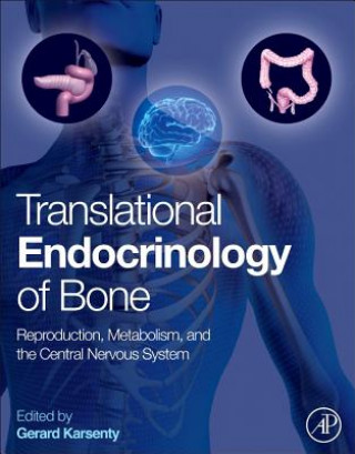 Knjiga Translational Endocrinology of Bone Gerard Karsenty