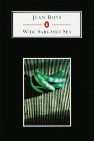 Książka Wide Sargasso Sea Jean Rhys