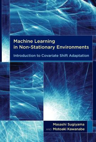 Könyv Machine Learning in Non-Stationary Environments Sugiyama
