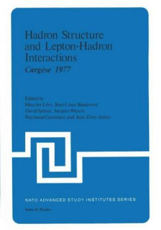 Kniha Hadron Structure and Lepton-Hadron Interactions Maurice Levy