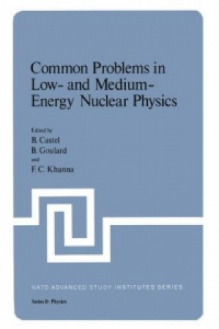 Carte Common Problems in Low- and Medium-Energy Nuclear Physics B. Castel