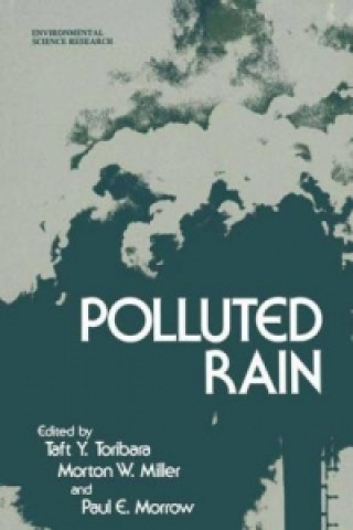 Könyv Polluted Rain Taft Y. Toribara