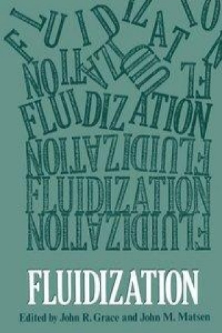 Kniha Fluidization John M. Matsen