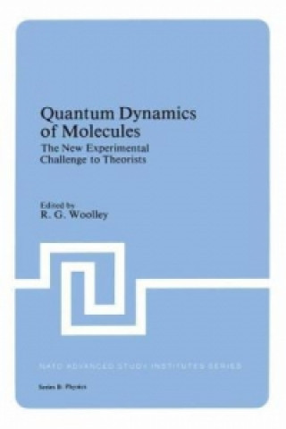 Kniha Quantum Dynamics of Molecules R. G. Woolley