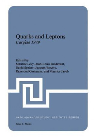 Kniha Quarks and Leptons Maurice Lévy