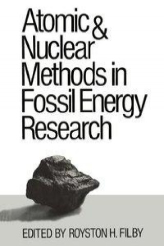 Könyv Atomic and Nuclear Methods in Fossil Energy Research ilby