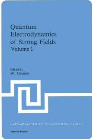 Книга Quantum Electrodynamics of Strong Fields Greiner W. Hold