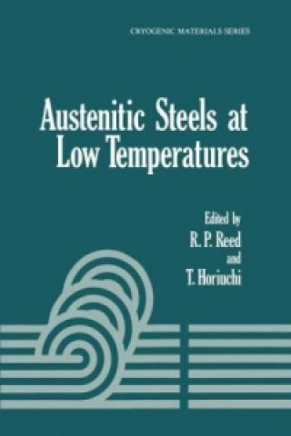 Kniha Austenitic Steels at Low Temperatures T. Horiuchi