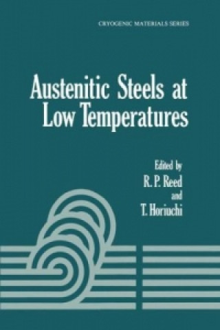 Książka Austenitic Steels at Low Temperatures T. Horiuchi