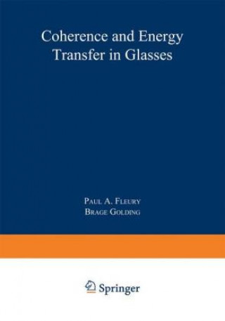 Kniha Coherence and Energy Transfer in Glasses Brage Golding