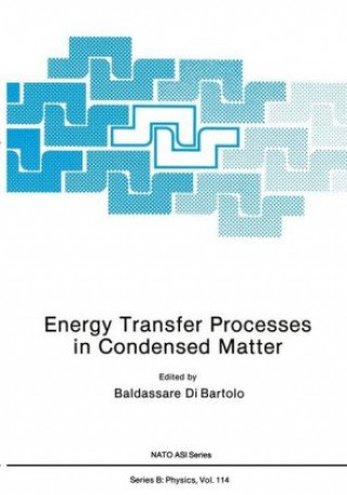 Könyv Energy Transfer Processes in Condensed Matter Baldassare Dibartolo