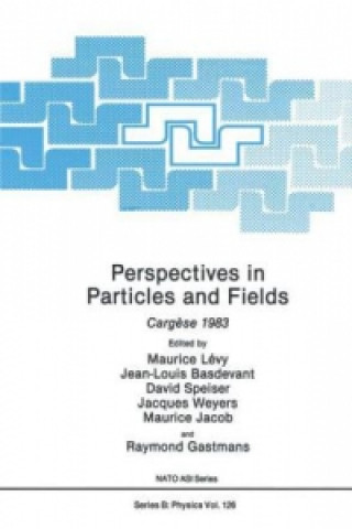 Kniha Perspectives in Particles and Fields Maurice Lévy