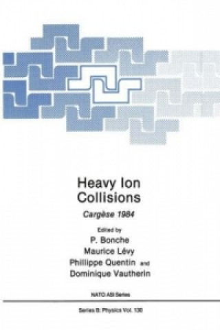 Buch Heavy Ion Collisions Paul Bonche