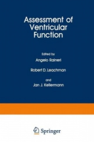 Kniha Assessment of Ventricular Function Angelo Raineri