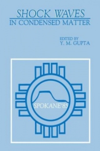 Kniha Shock Waves in Condensed Matter Y. M. Gupta