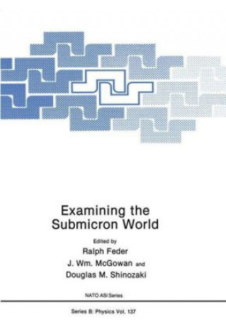 Kniha Examining the Submicron World Ralph Feder