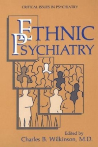 Kniha Ethnic Psychiatry Charles B. Wilkinson