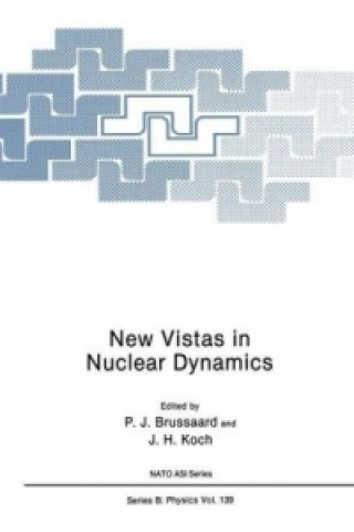 Kniha New Vistas in Nuclear Dynamics P. J. Brussaard